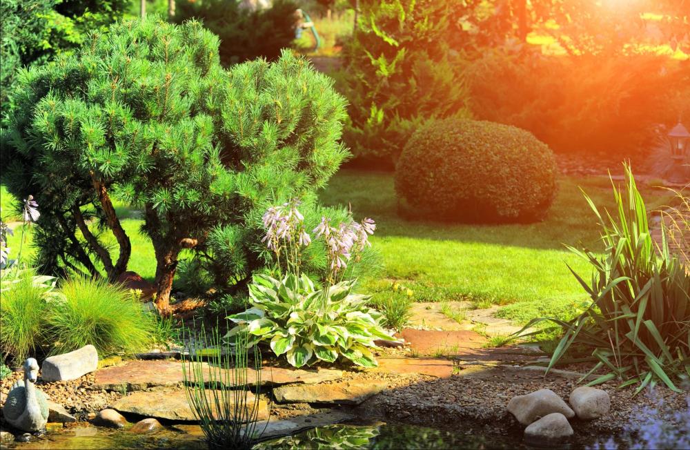 Aménagement entretien de jardins à Baulon